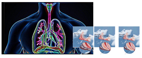 Les explorations pneumologiques